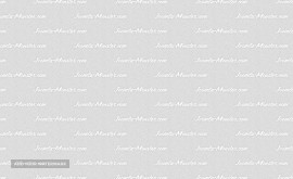 watermark